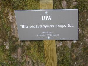 Dejavnosti biološkega krožka 4